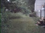 St. Louis County lot clearing after