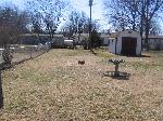 dead tree removal florissant (after)