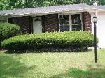 Bushes Trimmed Florissant (before)