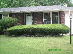 Bushes Trimmed Florissant (after)