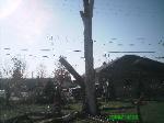 Dead Tree Removal Hazelwood Missouri Nov,2008 2