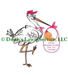 female rental stork